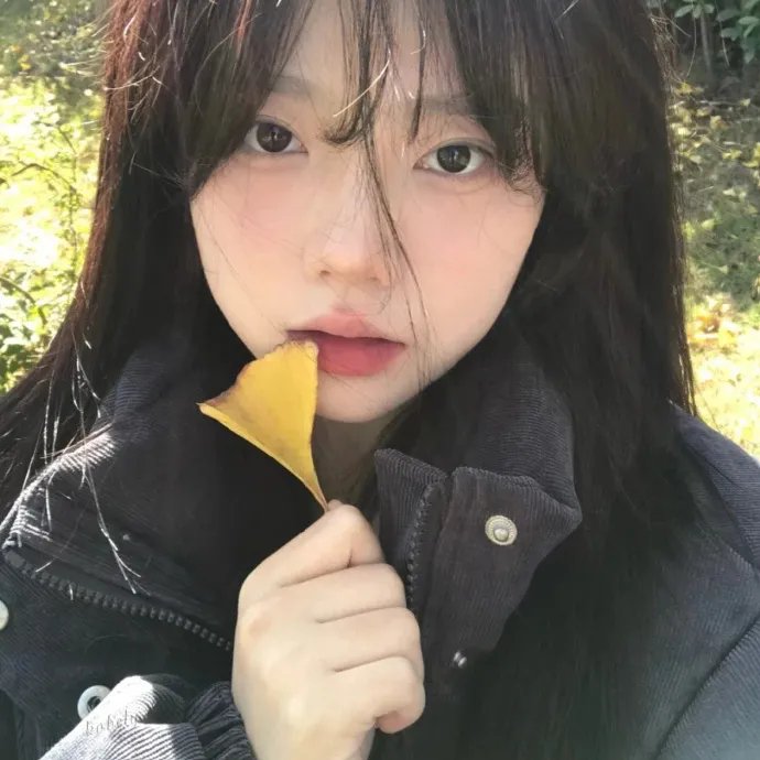 风流浪子